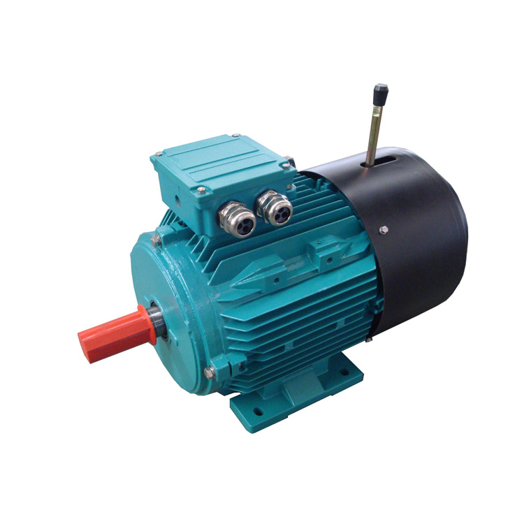 YEJ series electromagnetic brake motor